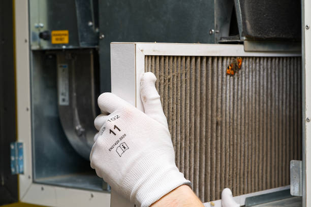 Best Ductwork Cleaning Services  in Mckenzie, TN