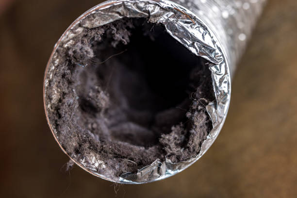 Best Best Air Duct Cleaning Company  in Mckenzie, TN